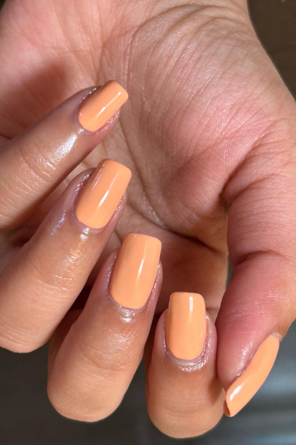 Apricot Sheen