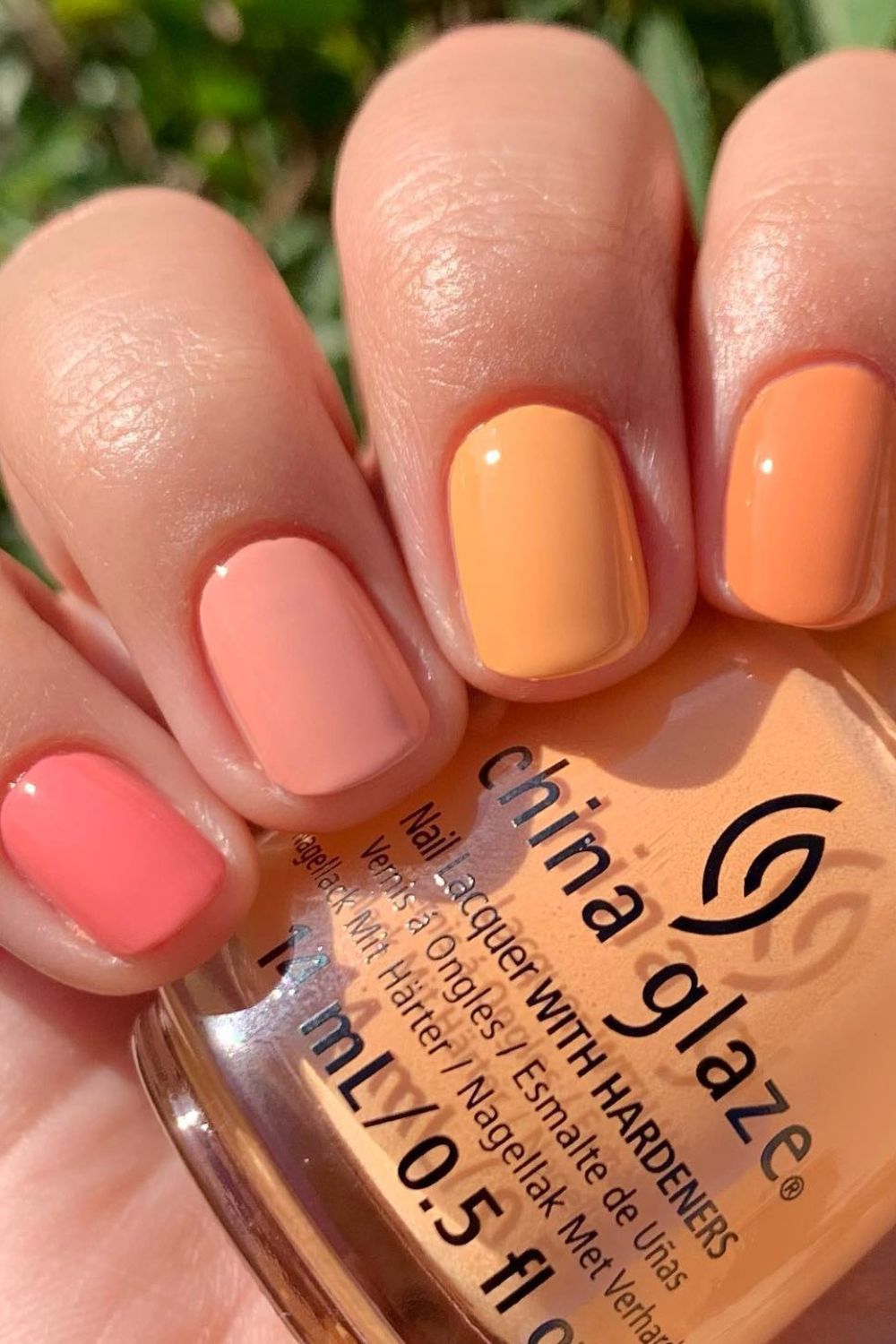 Apricot Charm