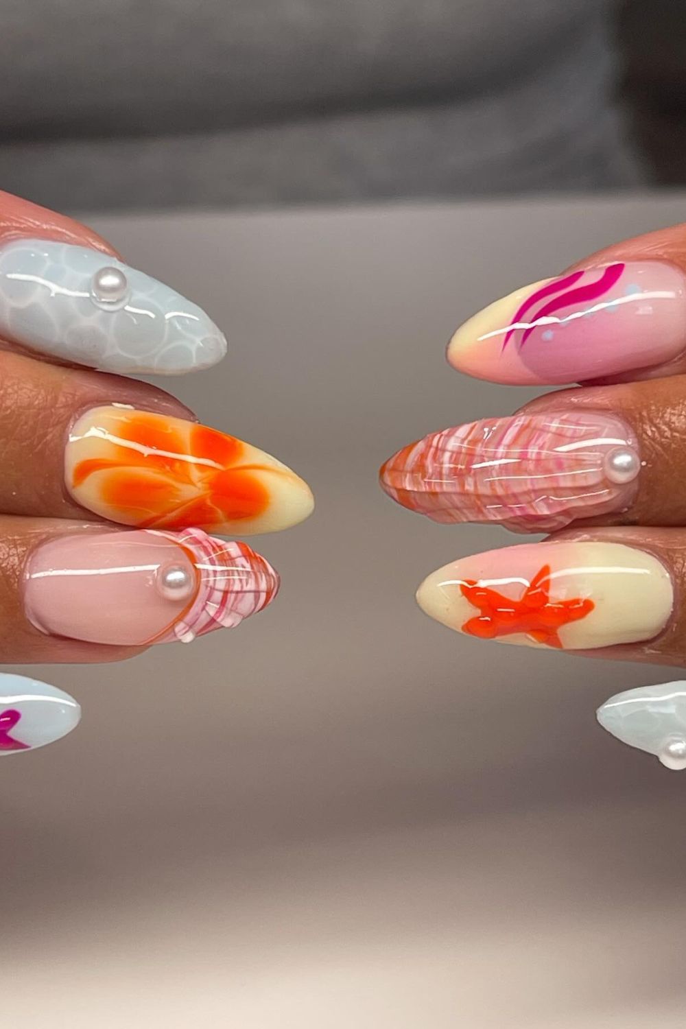 Seashell Splendor