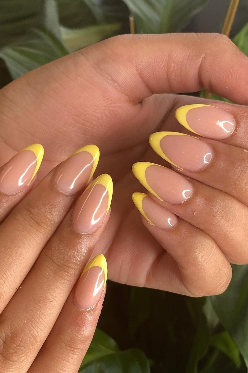 Sunny Yellow Tips