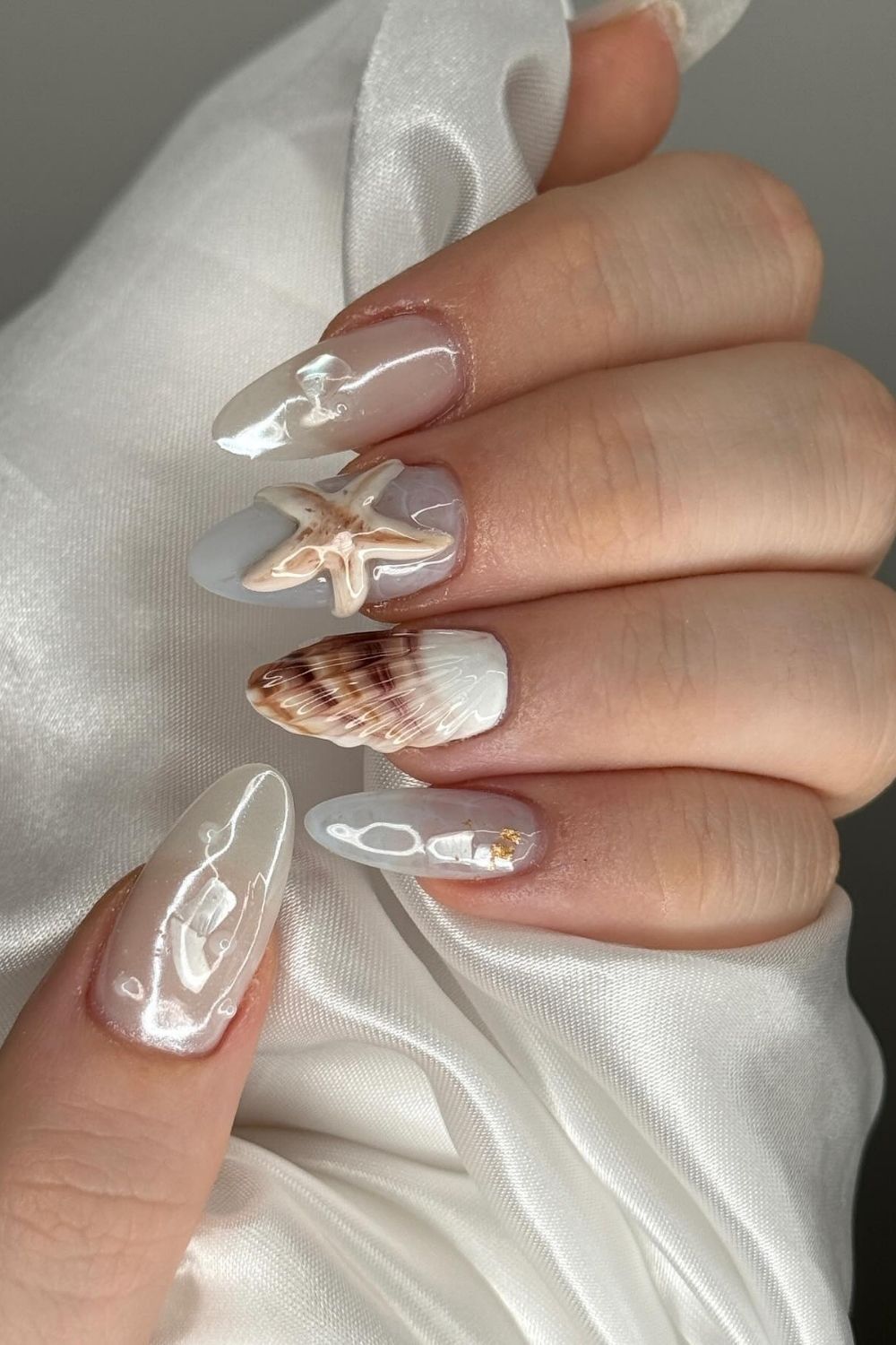 Beach Shells