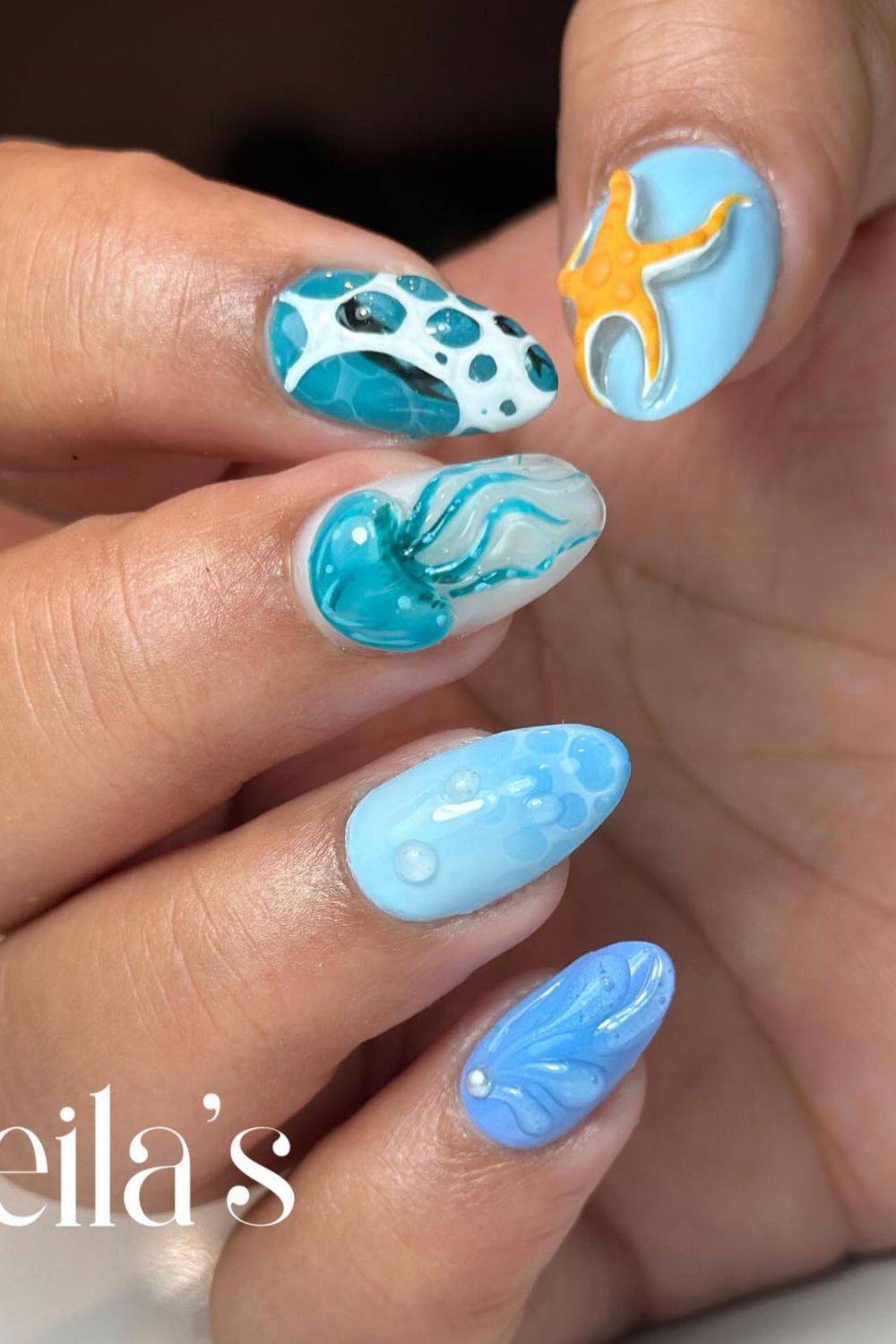 Ocean Creatures