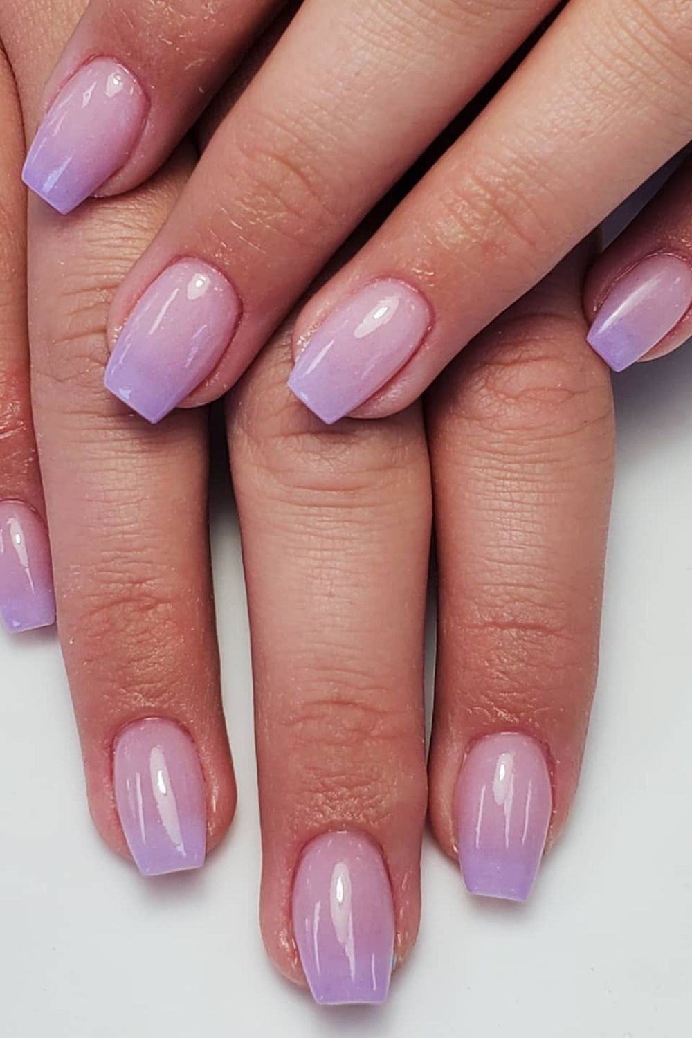 Lavender Ombre Elegance