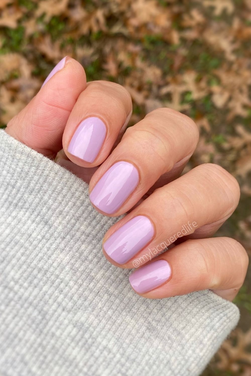 Pastel Lilac Perfection