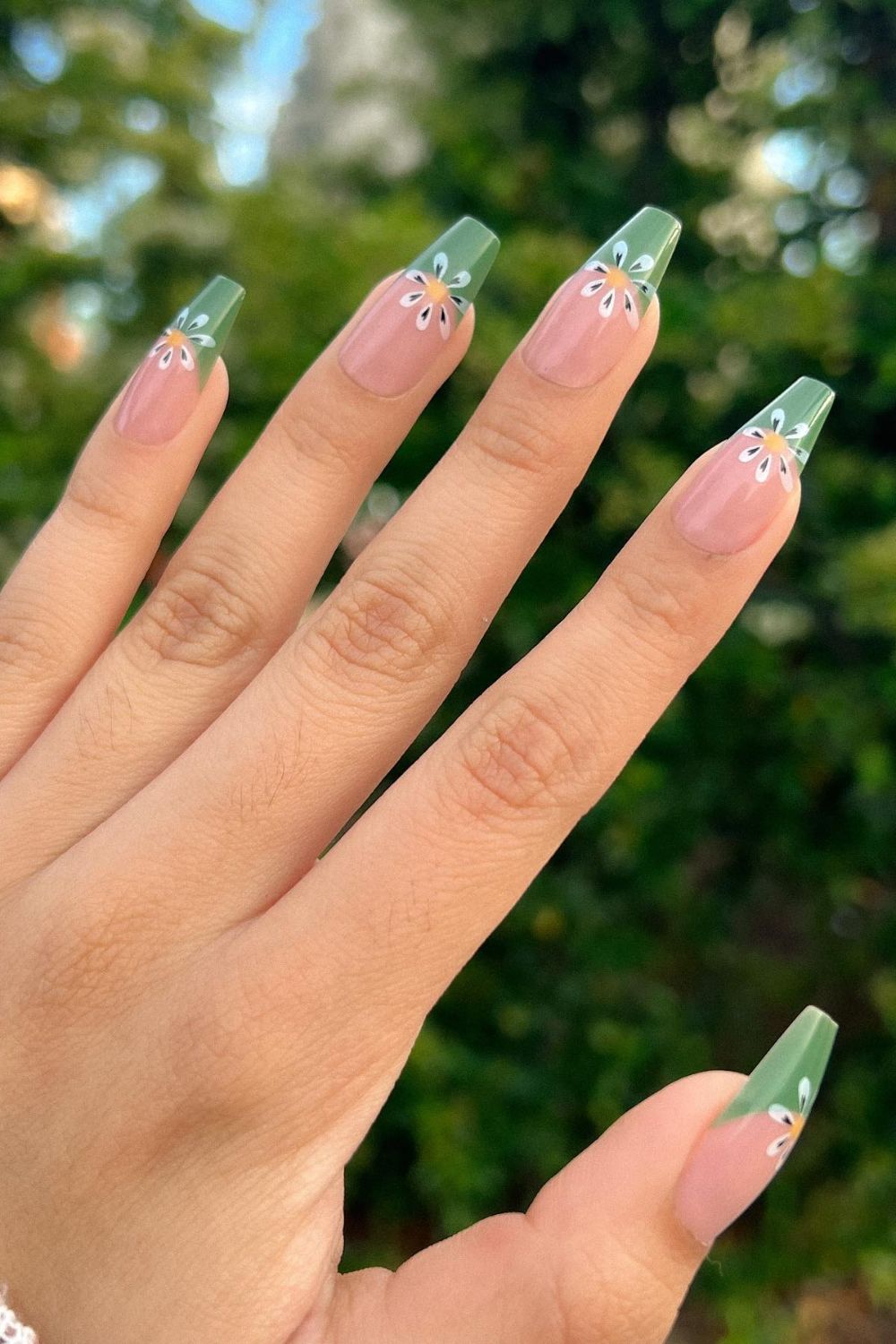 Green French Daisy Tips