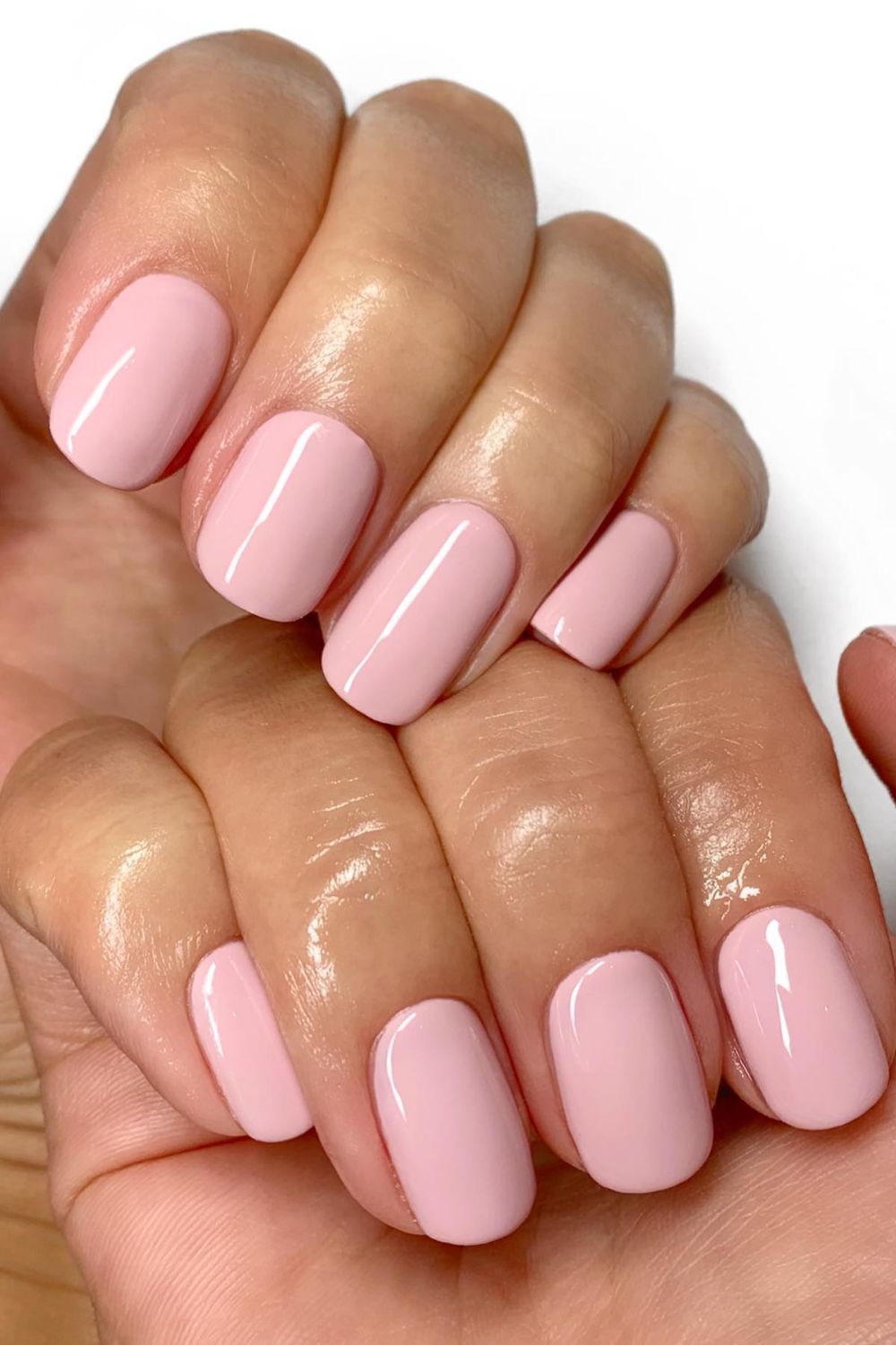 Pale Pink Perfection