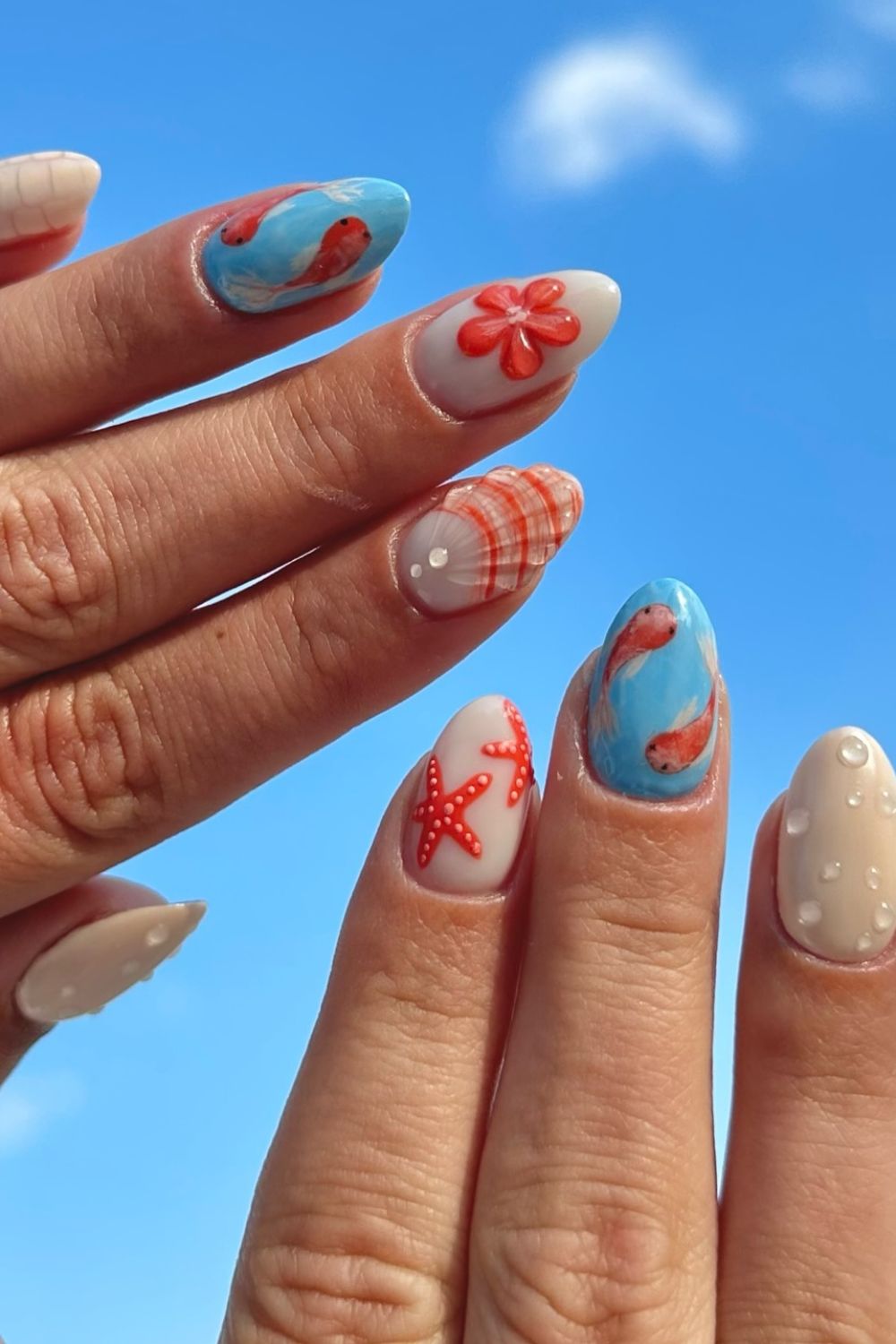 Coral Coast Theme