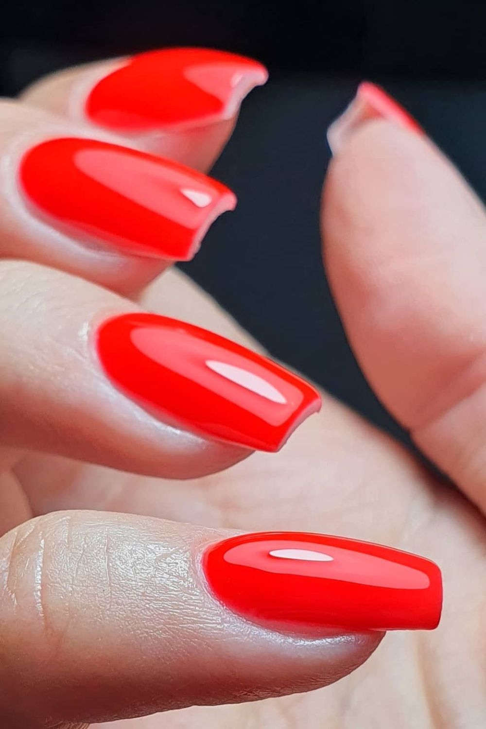 Vivid Cherry Red