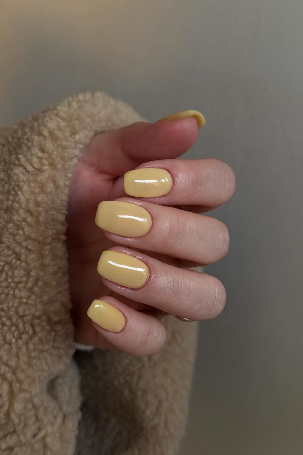 Buttery Soft Yellow