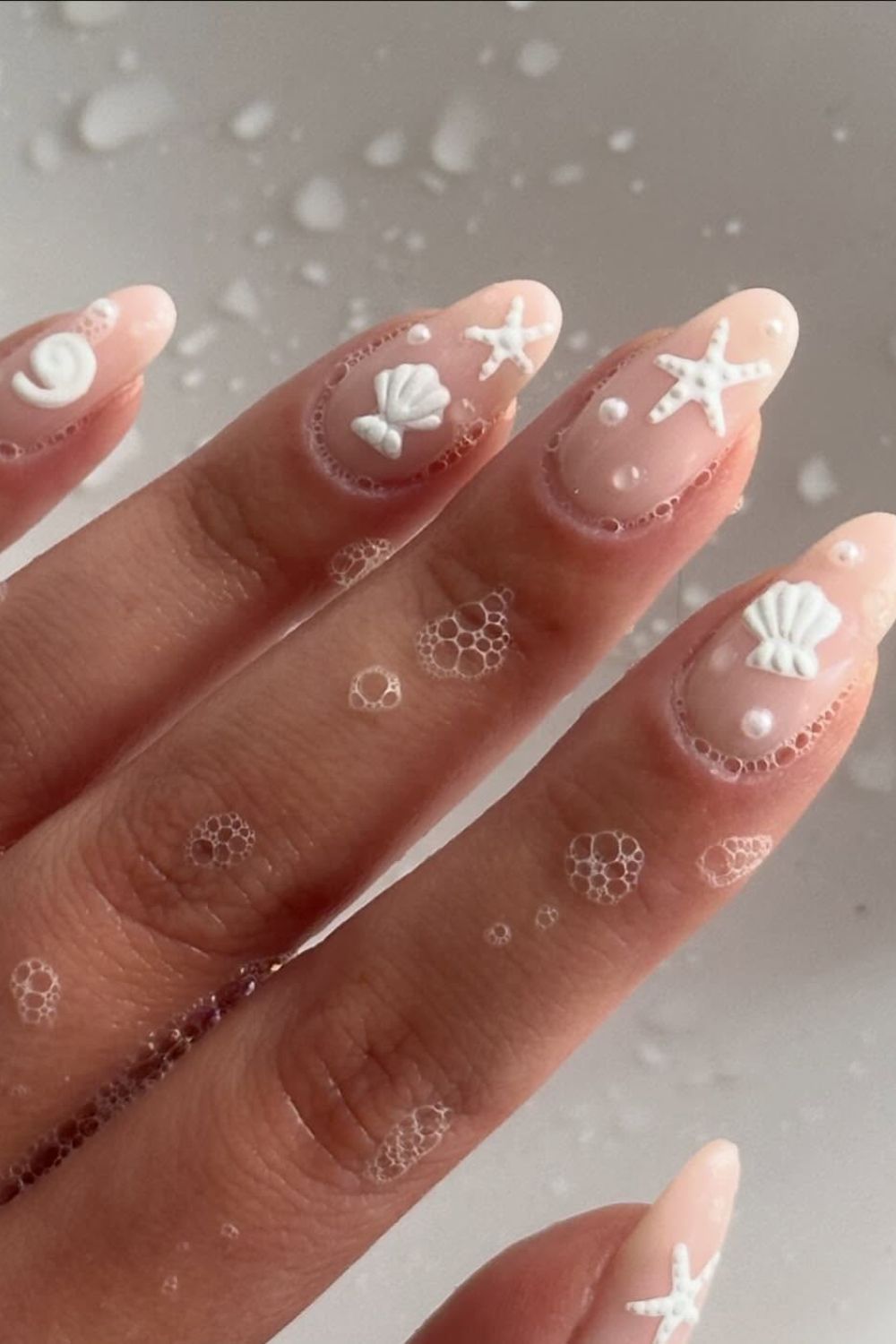 Foam And Shells