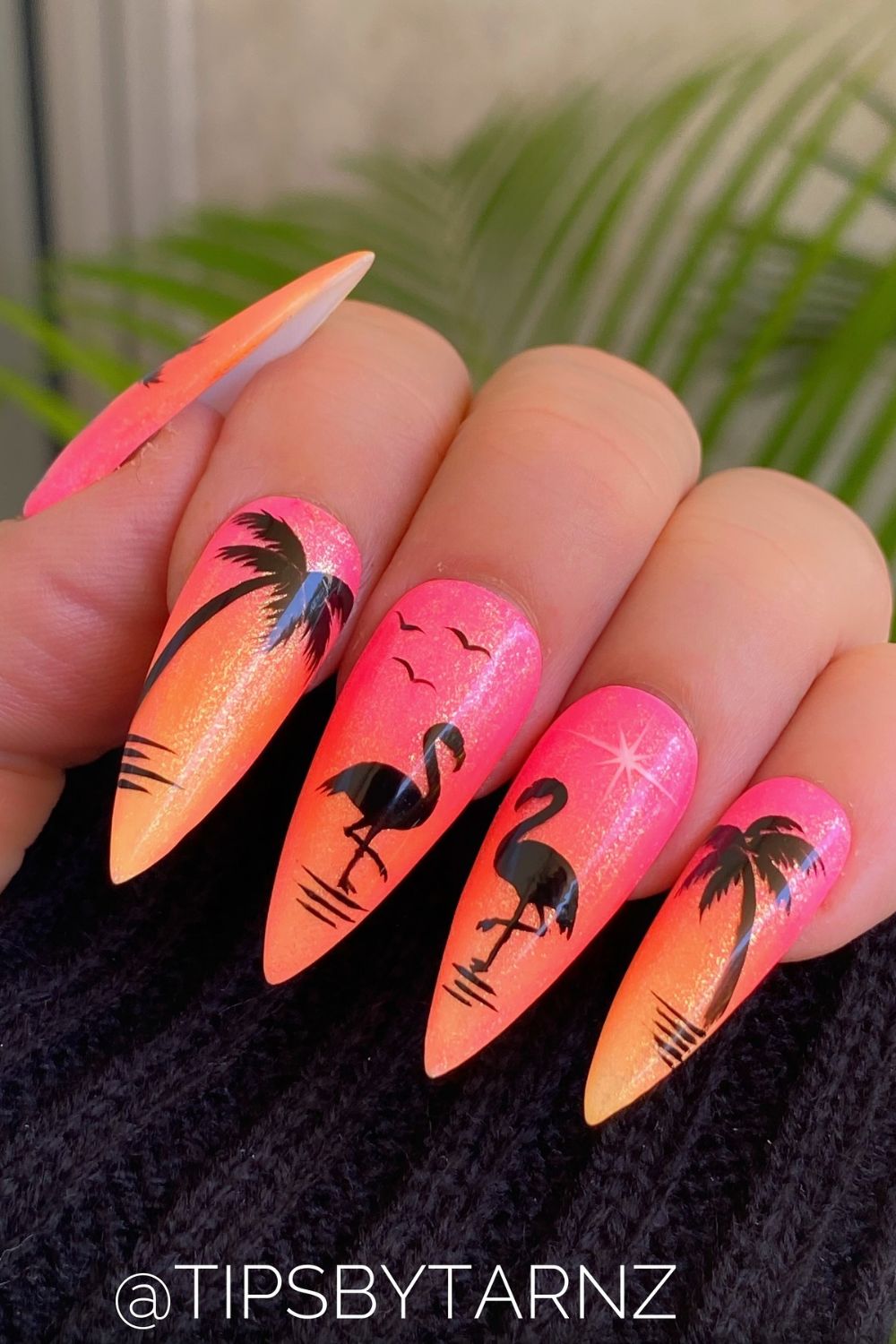 Flamingo Beach Sunset