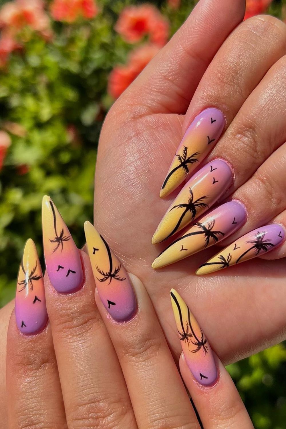 Lavender Palm Magic