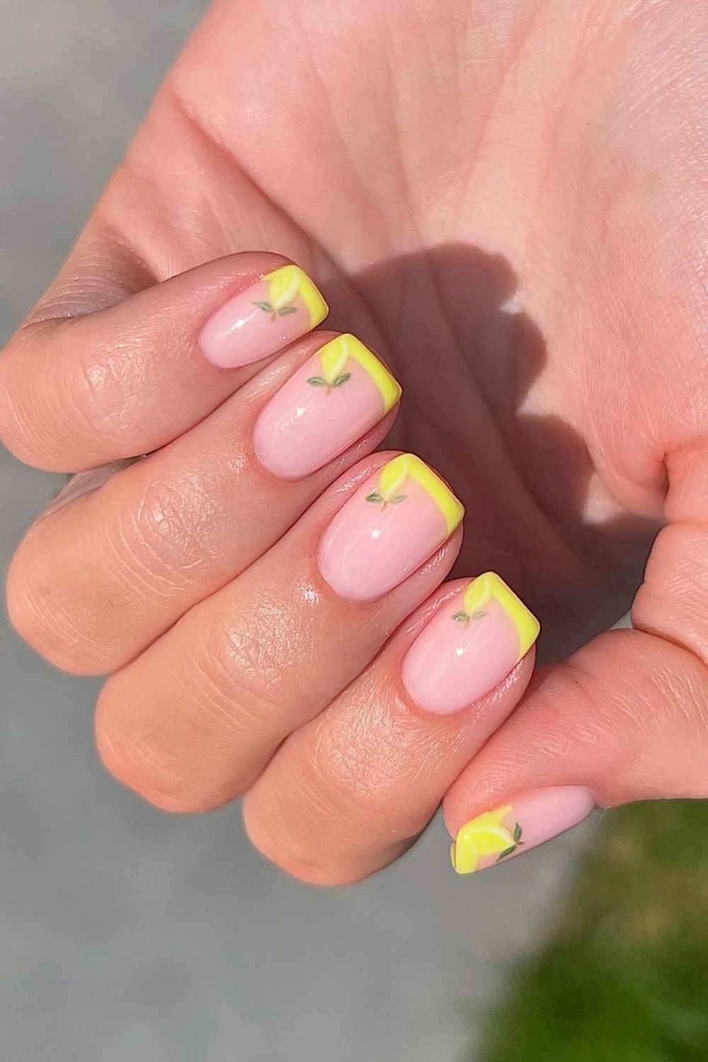 Fresh Citrus Tips
