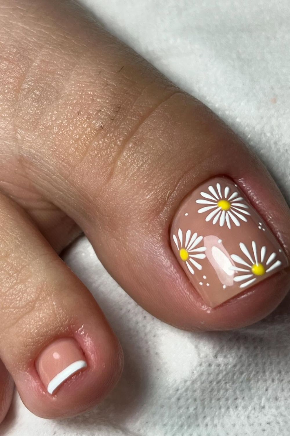 Daisy Garden Pop