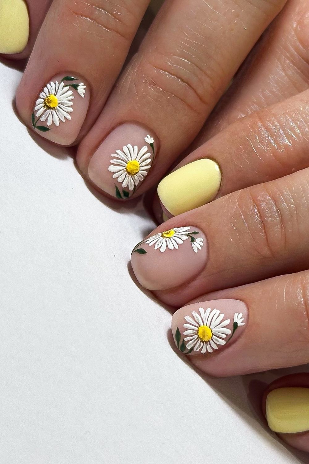 Daisy Yellow Pop