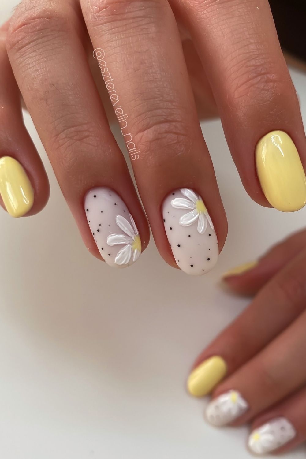 Speckled Daisies Delight
