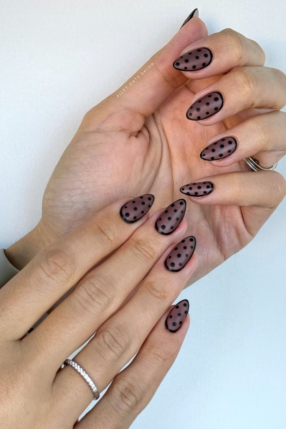 Sheer Noir Dots