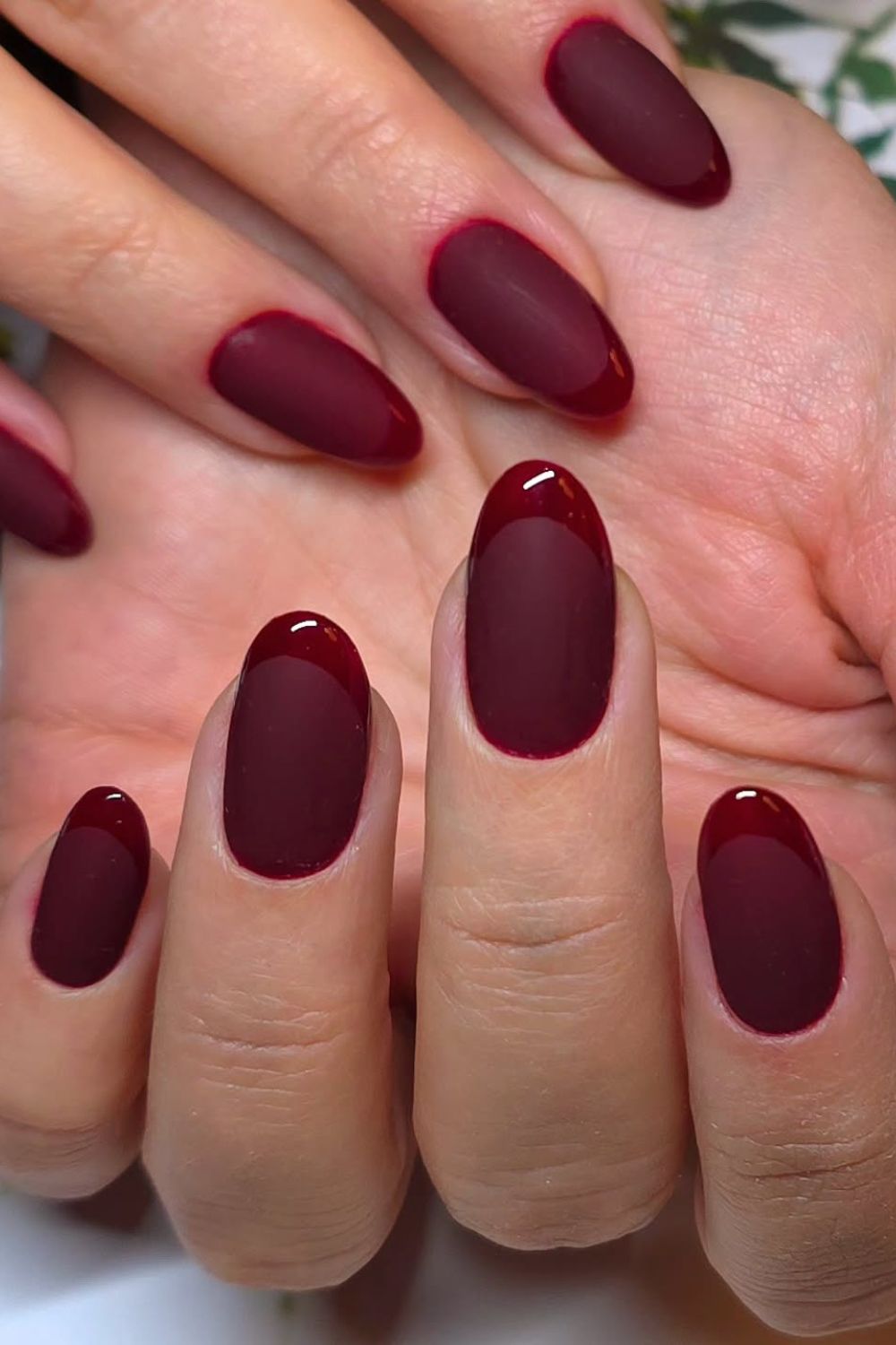 Velvet Matte Layers