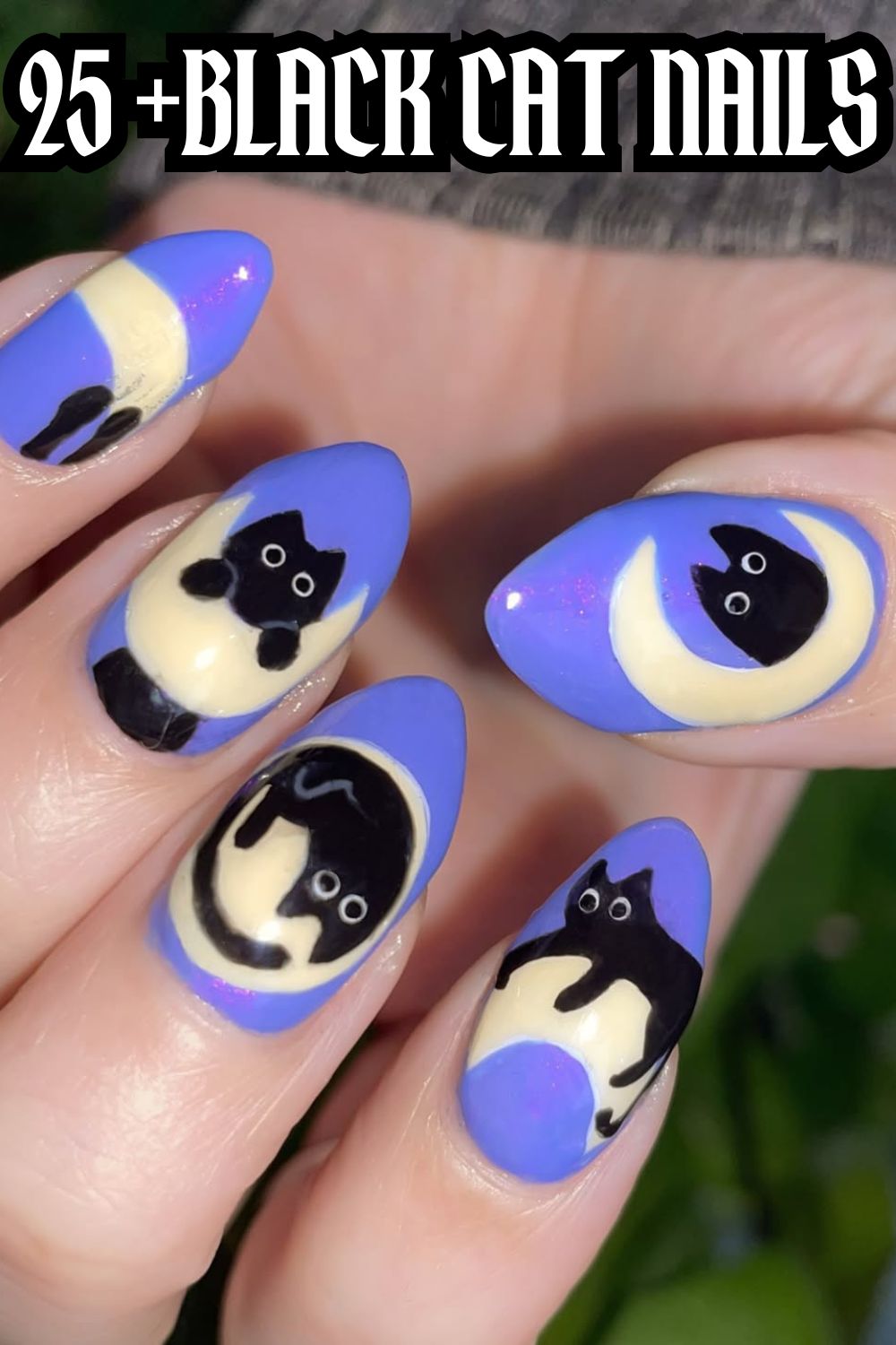 Lavender Moon Paws